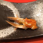 龍文支店 - 車海老の頭