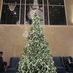 キュイジーヌ[s] ミッシェル・トロワグロ - ホテルのツリー