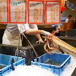 近江町・海鮮市場料理 市の蔵 - 生簀から取り出される加能ガニ