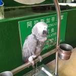 NO SIGNBOARD SEAFOOD Restaurant - 