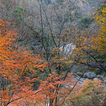 滝味の宿豊年万作 - 滝と紅葉