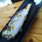 がんねん - 網走産生にしん焼き