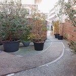 サ・マーシュ - 