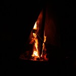 フォレスト ヴェール - 