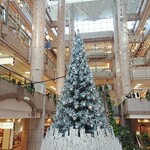 馬車道 大かわ - みなとみらいのツリー