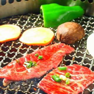 2 980円食べ飲み放題メニュー べごっこのカルビ 平塚 焼肉 食べログ 2 980円食べ飲み放題メニュー べごっこのカルビ 平塚 焼肉 食べログ