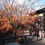 芦屋川 むら玄 - テラス席の紅葉