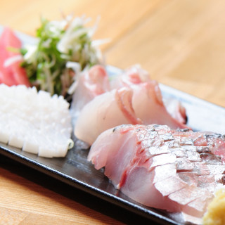 酒肴から〆まで！旬の朝獲れ鮮魚を使ったお料理を豊富にご用意