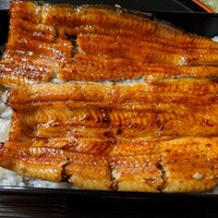 うなぎ秋本 -  うなぎ秋本 -