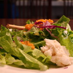 Masaoka - グリッシーニ、ポテトサラダ、おろしニンジン、レタス、紫キャベツのサラダアップ