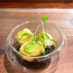 セルサルサーレ - 