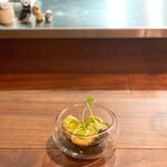 セルサルサーレ - 