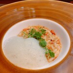 セルサルサーレ - 