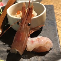 KINKA sushi bar izakaya 渋谷 - 