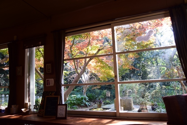 森の庭カフェ 王寺 カフェ 食べログ 森の庭カフェ 王寺 カフェ 食べログ