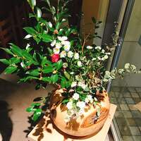 しゃぶしゃぶ 山笑ふ 銀座店 - 