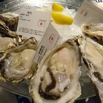 Daliguadalupe Terrace House - 