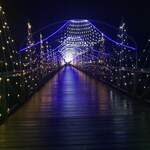 炙り焼肉　おさ - 帰り道で見つけたイルミネーション