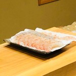 鮨 十兵衛 - ゆゆの助の目の色が変わったｗｗ