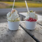 MALGA GELATO - 