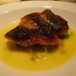 ラシェット・ブランシュ - 