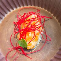 ヒカリヤ ニシ - 