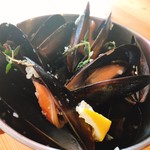 Mussels steamed in white wine (small bucket)
