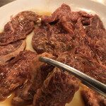 ホドリ - 独特な食感の肉