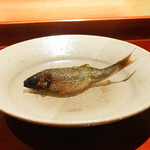 銀座 しのはら - 琵琶湖の天然もろこ焼き