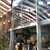 CRISP&LUCE - 