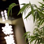 全席個室 楽蔵 - 