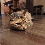 鹿教湯 三水館 - (=^・^=)