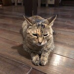 鹿教湯 三水館 - (=^・^=)