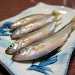 丁子屋 - もろこ