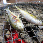 丁子屋 - もろこ