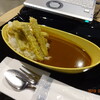 博多カレー研究所 博多とんこつあごだしカレー