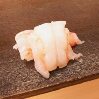 鮨 土方 - ボタンエビ、北海道