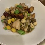 美食同源 銀座小はれ日より - 