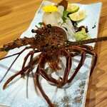 にぎりずし 雷音 - 伊勢海老