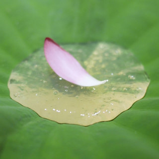 銀座ふじやま_2