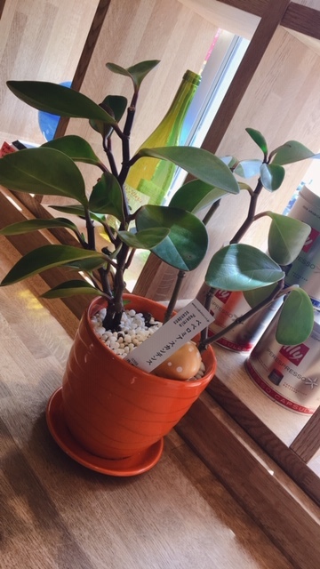 イタリアンバル CLIP（イタリアンバル クリップ） - 郡山（イタリアン）の写真