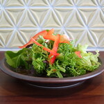 Taikicchimmanao - グリーン・レッドマスタード、レタスミックス、パプリカ、ラディッシュのサラダ