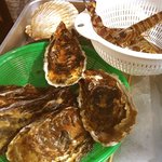 海鮮類　海鮮茶屋 活き活き亭