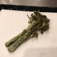 天ぷら はせ川 - 