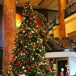 ザ・テラス - エントランスロビーのクリスマスツリー