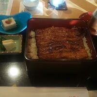 美濃吉 京王新宿店 - 鰻重