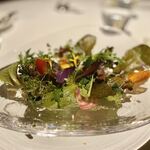 レフェルヴェソンス - 