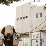 Sennobou - 今日はJR秋の関西1デイパスを使って、滋賀県に遊びに来たよ～お城巡りが趣味のボキらは、滋賀にある日本100名城を、今日1日で3つまわる予定なの。ちびつぬ「まずは彦根城からスタートよ～」