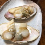 焼貝うぐいす - 