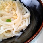 Fujimi Udon - 